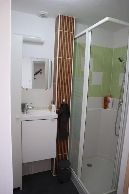 Petite Venise Du Gatinais - T2 Avec Jardin Villa Montargis Exterior photo